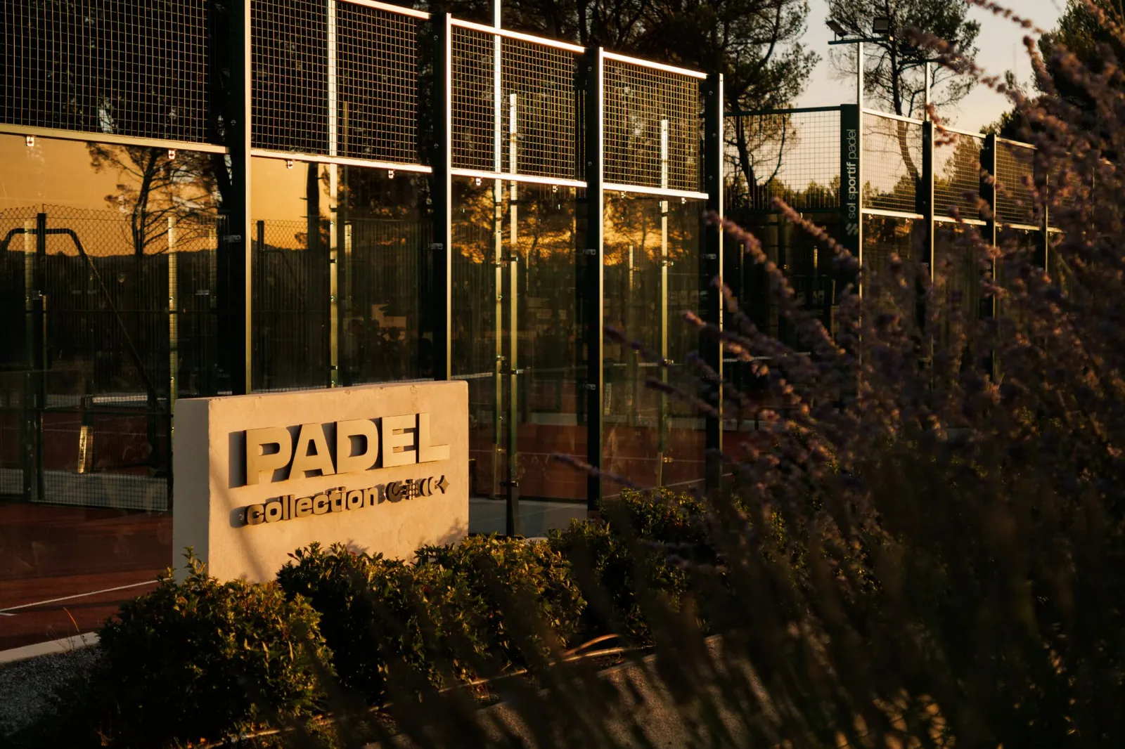Vision à long terme — Padel Collection